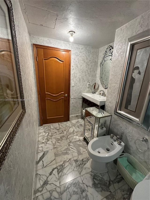 bathroom featuring a bidet, vanity, and a textured ceiling