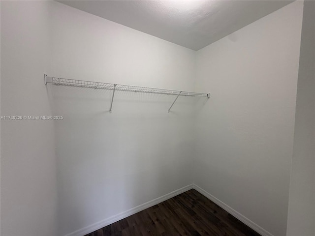 walk in closet featuring dark hardwood / wood-style floors