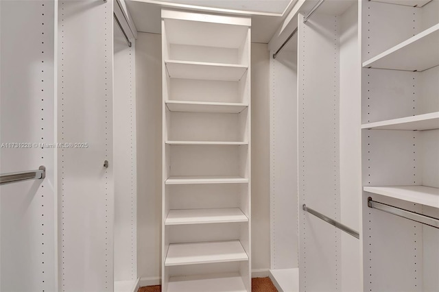 12915 Coral Lakes Dr, Boynton Beach, FL 33437 - view of spacious closet