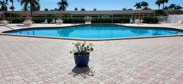 view of swimming pool featuring a patio