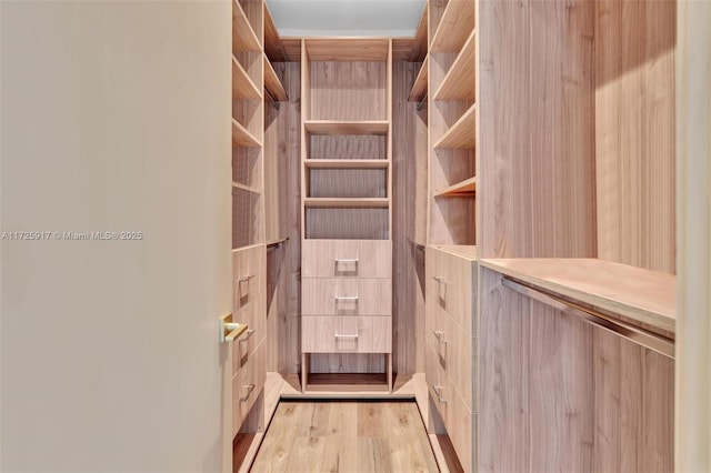 walk in closet featuring light wood finished floors