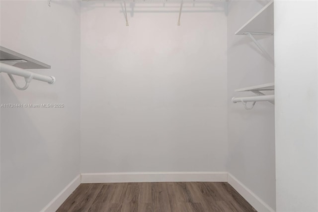 spacious closet featuring dark wood-type flooring