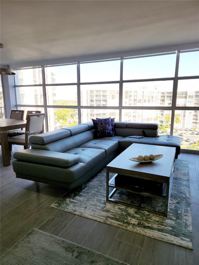 living room with plenty of natural light