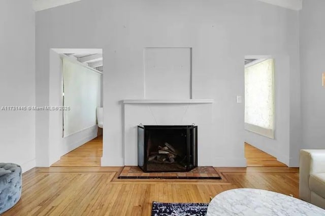 living room featuring hardwood / wood-style flooring