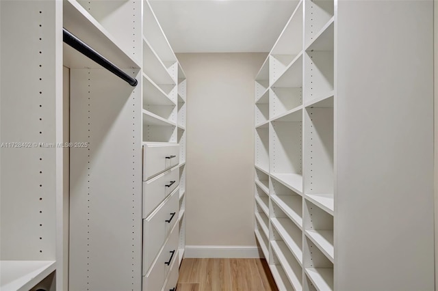 spacious closet featuring light hardwood / wood-style flooring