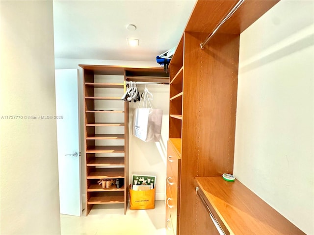 view of spacious closet