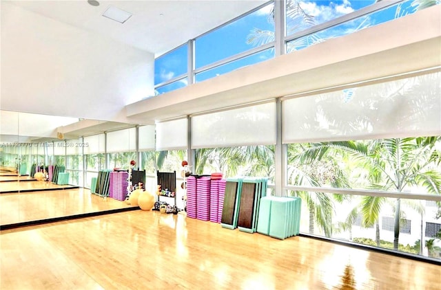 interior space featuring hardwood / wood-style flooring and plenty of natural light