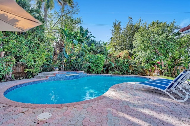 view of swimming pool with a patio and an in ground hot tub