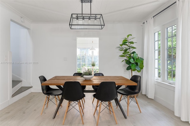 dining space with a wealth of natural light, ornamental molding, and light wood-type flooring