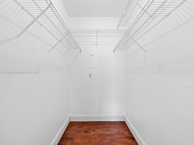 15315 SW 106th Ter Unit 423, Miami, FL 33196 - walk in closet with wood finished floors