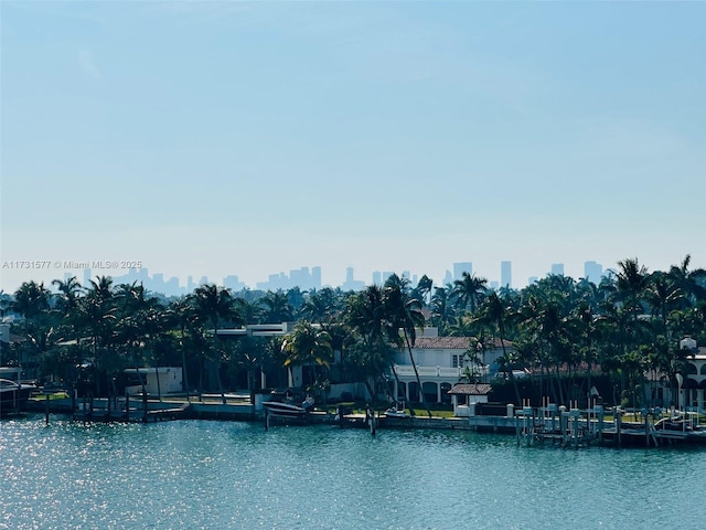 property view of water with a boat dock