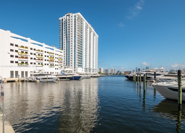 dock area featuring a water view