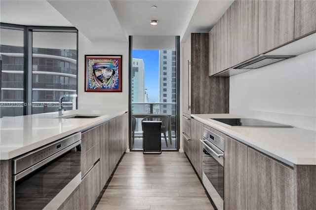 kitchen with sink, light hardwood / wood-style flooring, dishwasher, a wall of windows, and oven