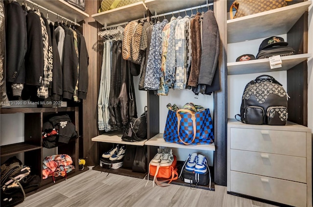 spacious closet with wood-type flooring