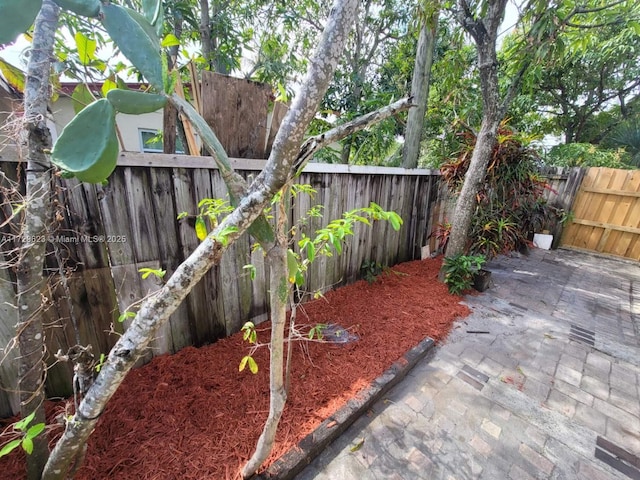 view of yard with a patio area and a fenced backyard