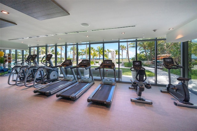 exercise room featuring floor to ceiling windows, carpet, and plenty of natural light