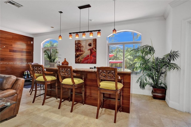 bar featuring hanging light fixtures, crown molding, and a wealth of natural light