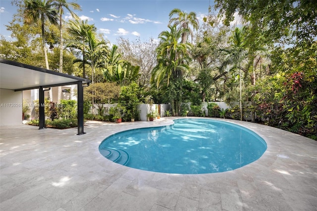 view of swimming pool featuring a patio