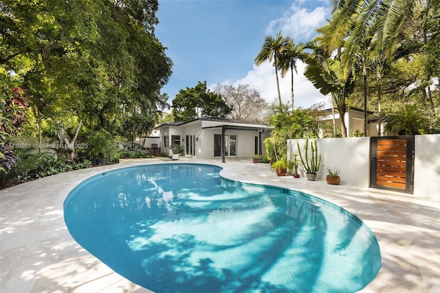 view of pool featuring a patio