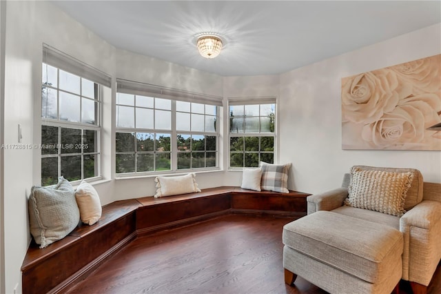 sitting room featuring hardwood / wood-style floors