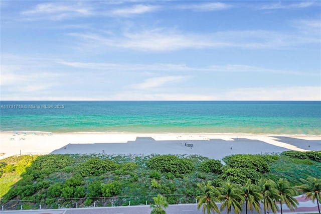 water view featuring a beach view