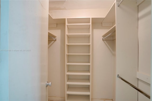 view of spacious closet