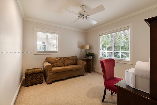 carpeted home office with ceiling fan, ornamental molding, and a wealth of natural light