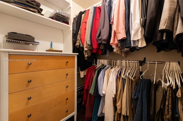 view of spacious closet