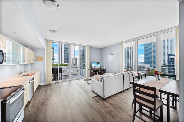 living room featuring hardwood / wood-style flooring, floor to ceiling windows, and sink