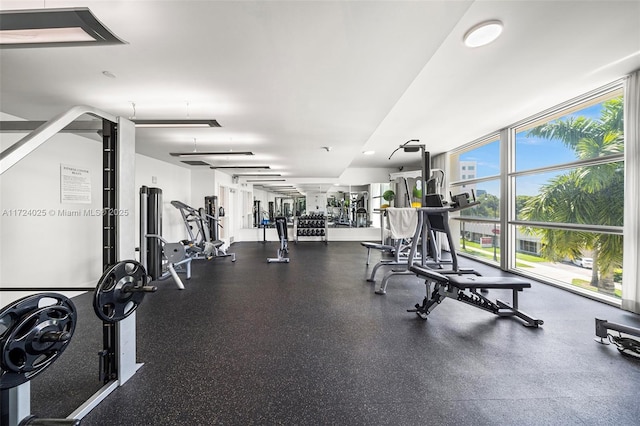 exercise room with a healthy amount of sunlight and floor to ceiling windows