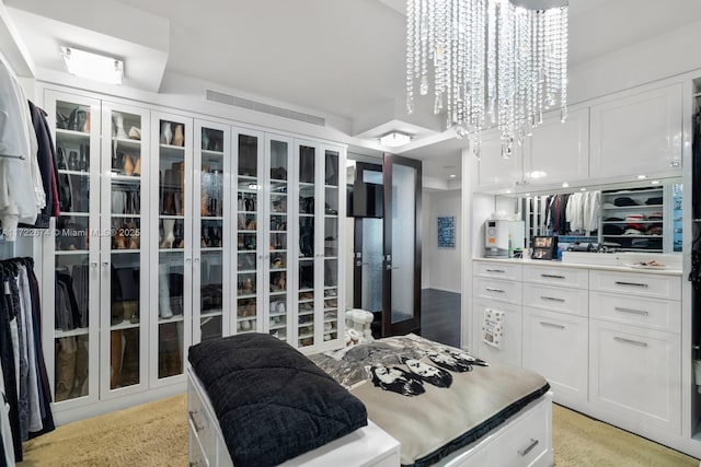 spacious closet with visible vents