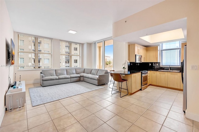 tiled living room featuring sink and a healthy amount of sunlight