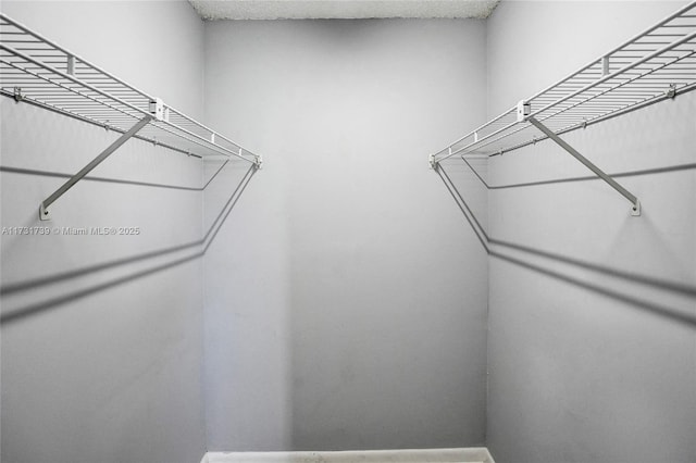 view of spacious closet