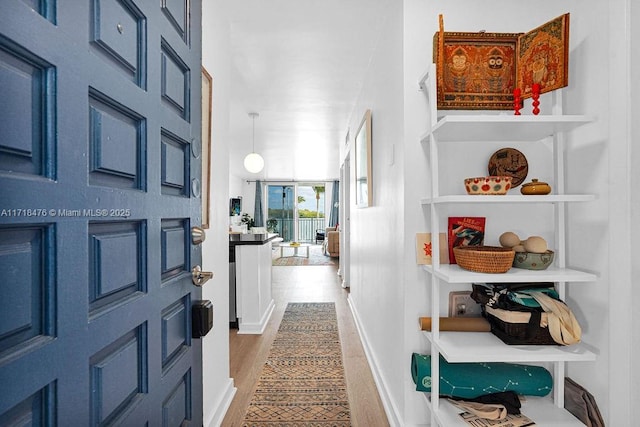 hallway with wood-type flooring