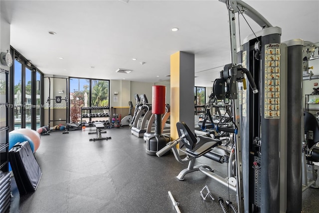 exercise room with expansive windows and plenty of natural light