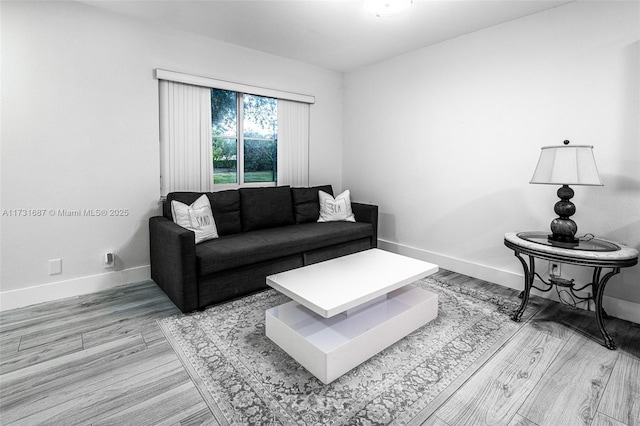 living room featuring light hardwood / wood-style floors