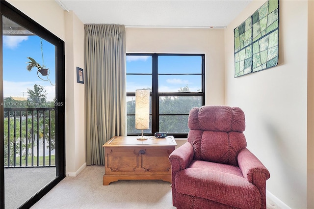 living area with light colored carpet