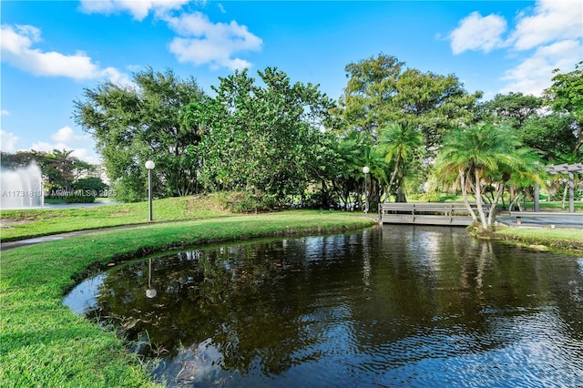 view of water feature