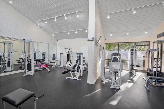 workout area featuring high vaulted ceiling