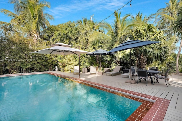 view of swimming pool with a wooden deck