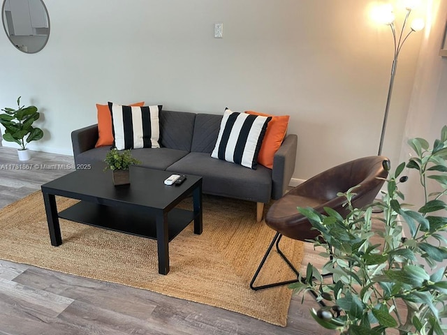 living room featuring hardwood / wood-style floors