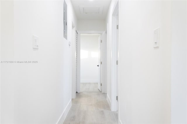 hallway featuring electric panel and light wood-type flooring