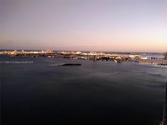 view of water feature featuring a city view