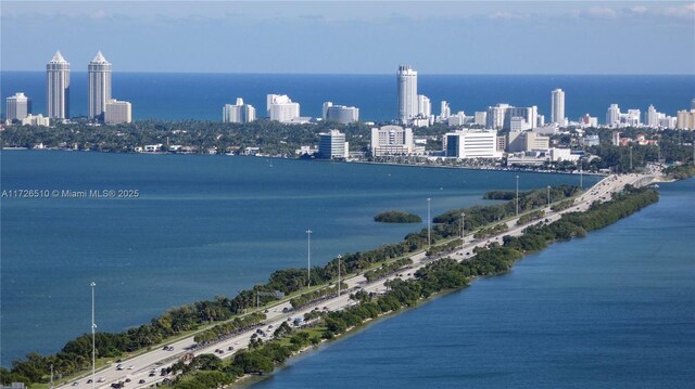 property's view of city featuring a water view