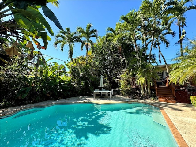 view of swimming pool featuring a patio