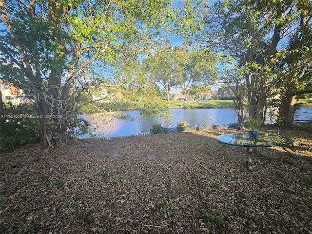 property view of water