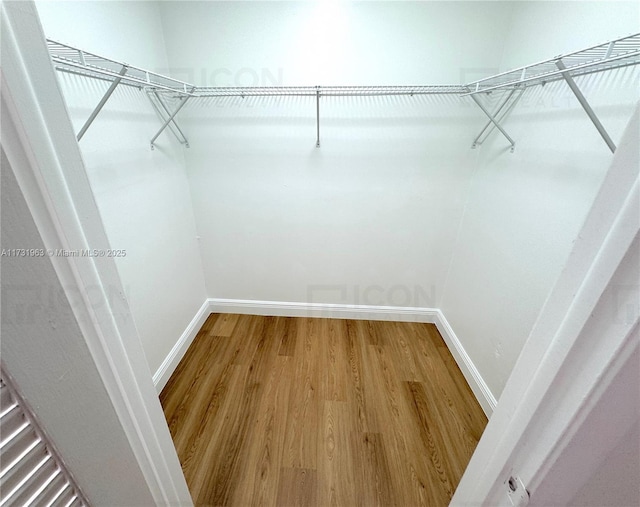 walk in closet with wood-type flooring