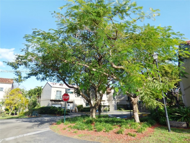 view of property hidden behind natural elements