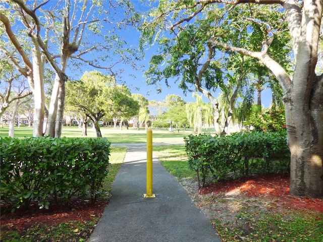 view of property's community with a yard