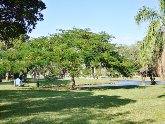 view of community with a water view and a lawn